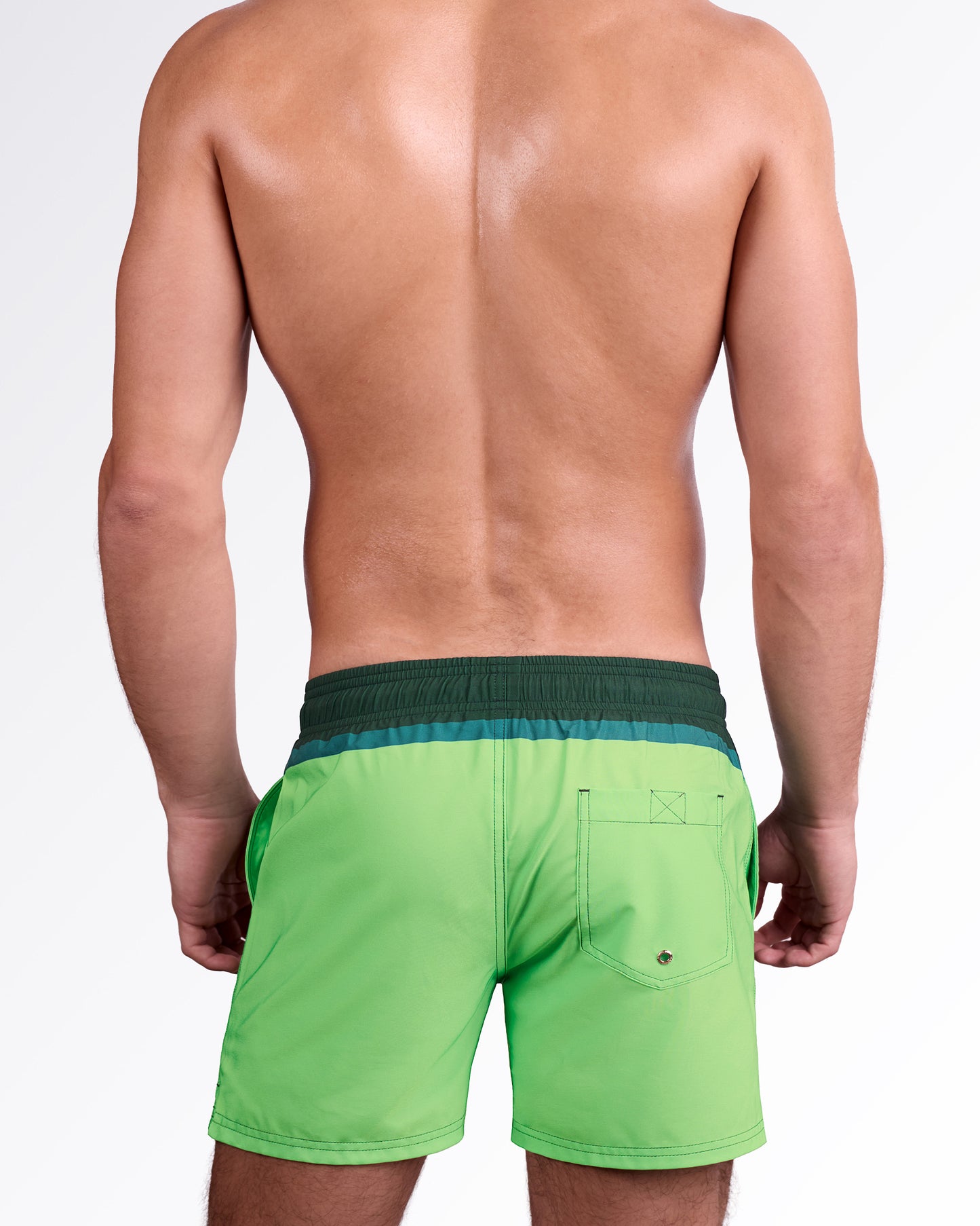 BANG! Miami Lines In Stereo Resort Shorts — back view showcasing gradient green tones, elastic waistband, and rear pocket detail.