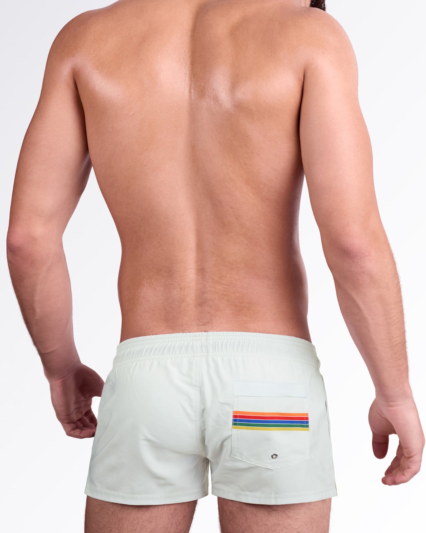 DC2 Sunset Stripes Poolside Shorts — back view showing the rear pocket detail with matching rainbow stripe accent across the pocket.