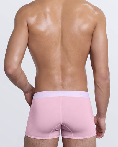 DC2 BRINGING SEXY BACK Boxer Briefs — back view of model highlighting stretch modal fabric and modern fit.