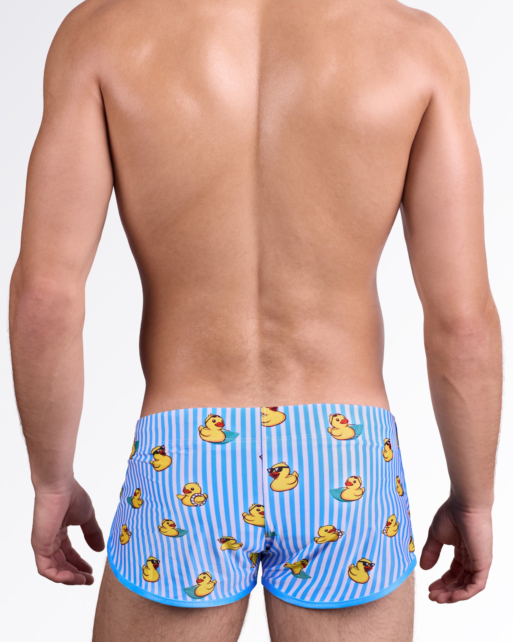 DC2 Ducks Just Wanna Have Fun Swim Shorts — back view showing allover duck motif layered over classic striped background.