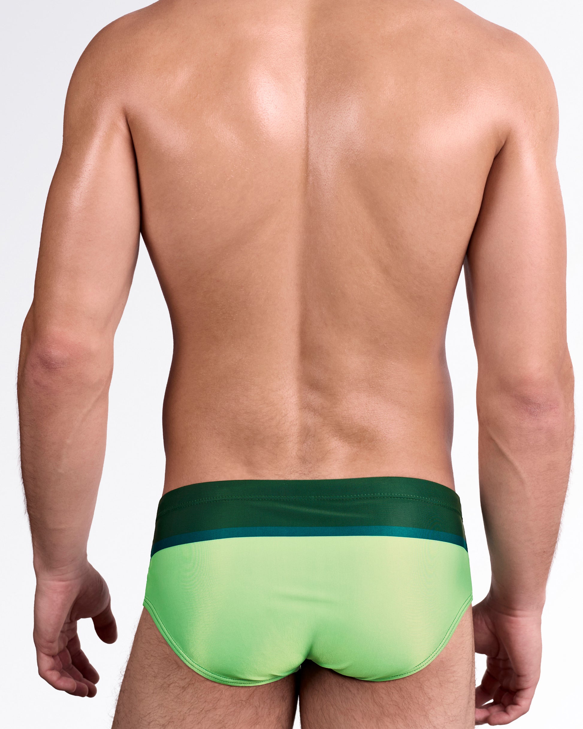 BANG Lines in Stereo Swim Sunga — back view highlighting bold two-tone colorblock design with horizontal contrast panel and tailored rear coverage.