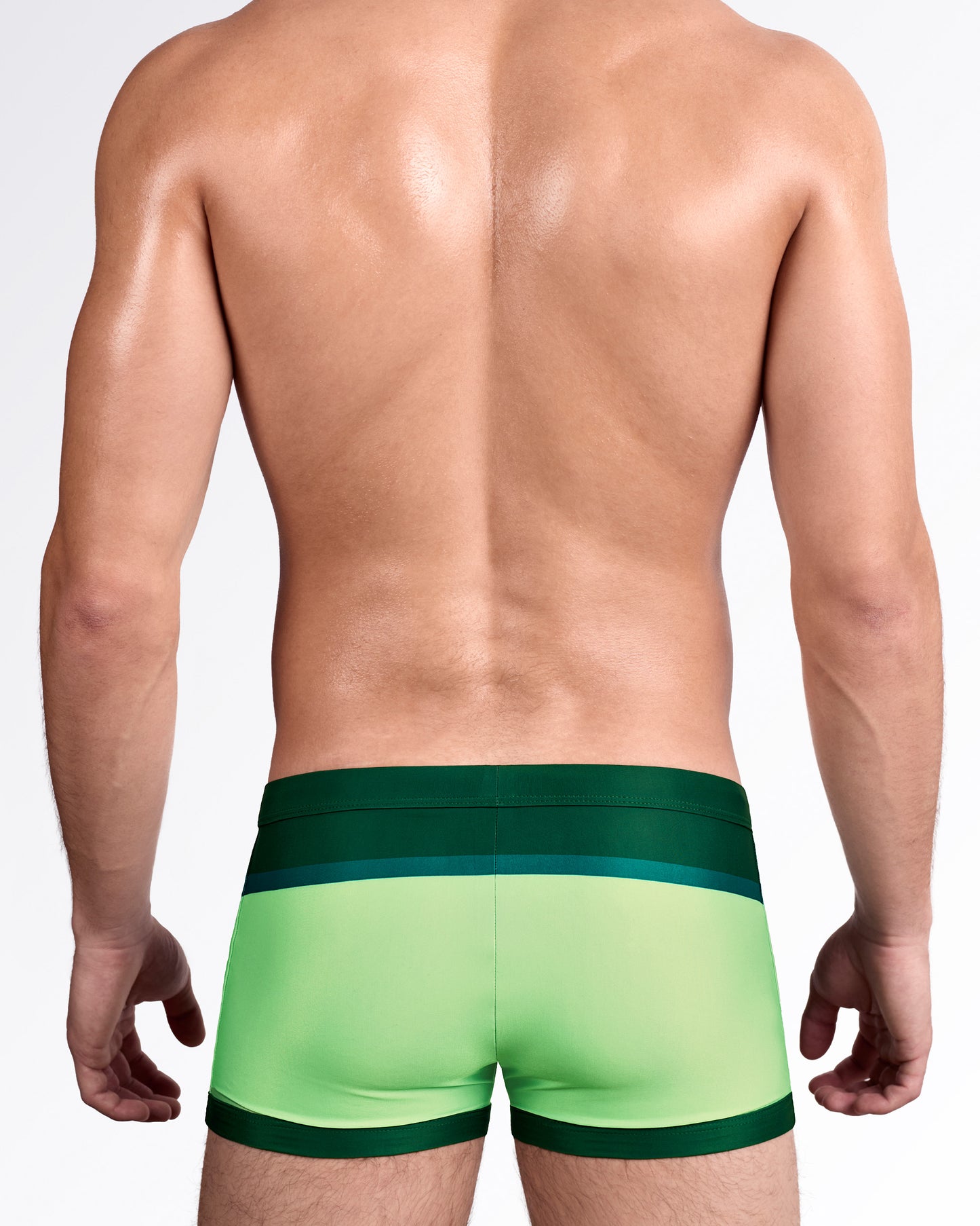 BANG Lines In Stereo Swim Trunks — back view showing smooth green-to-lime gradient panel with contrast waistband and trim.