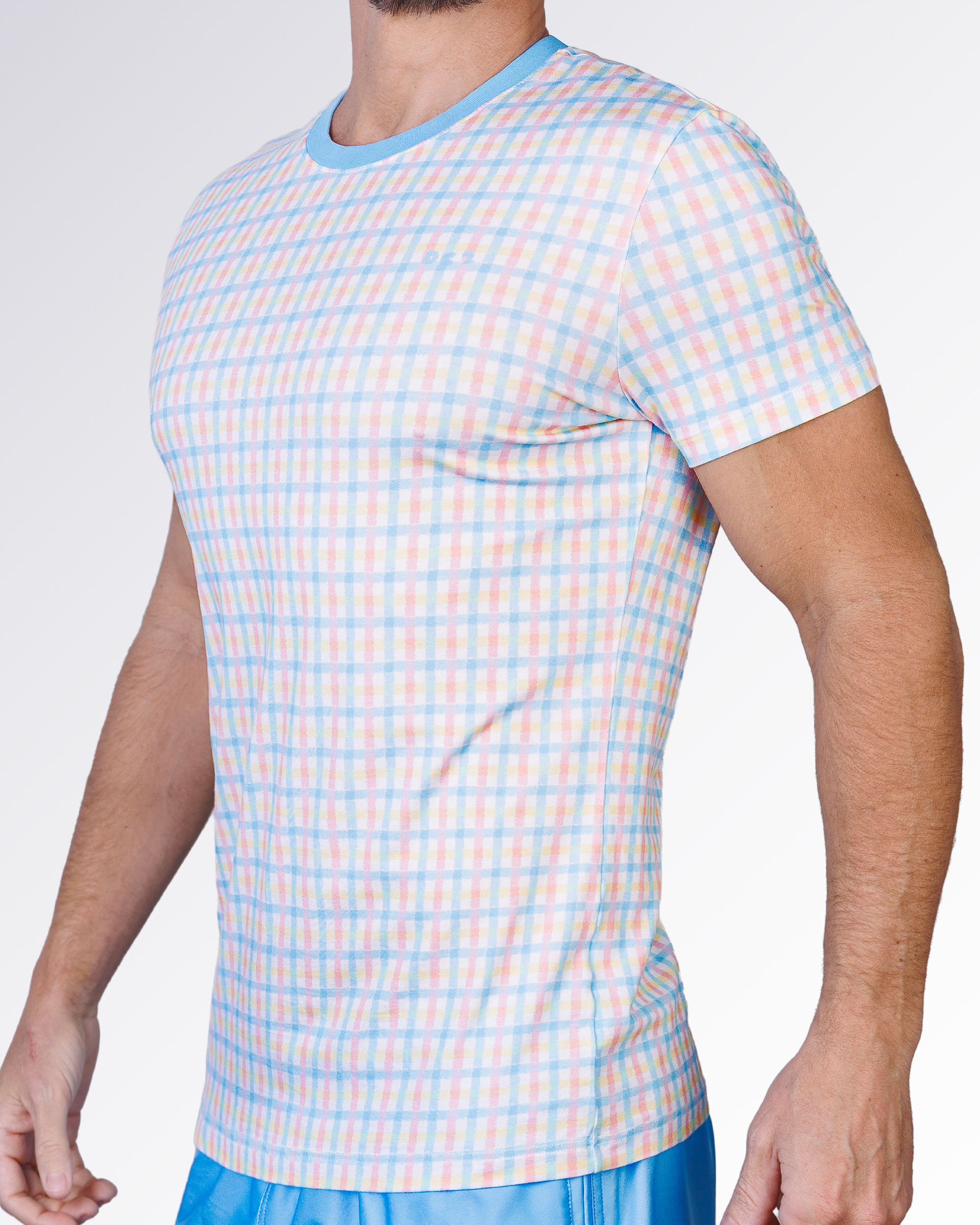 Side profile of the Ocean Drive Check Cotton Graphic T-Shirt by DC2 Miami featuring the pastel check print and tailored short-sleeve fit.