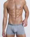 DC2 SAY MY NAME Boxer Brief — model wearing grey men’s modal boxer briefs with logo waistband and contoured fit.