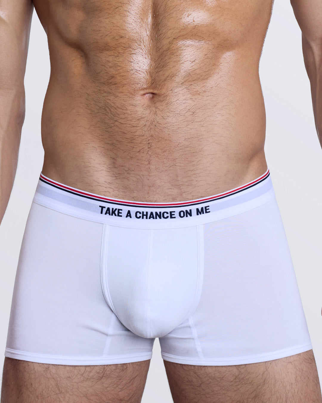 DC2 TAKE A CHANCE ON ME Boxer Brief — close-up highlighting contoured pouch, soft modal fabric, and TAKE A CHANCE ON ME waistband.