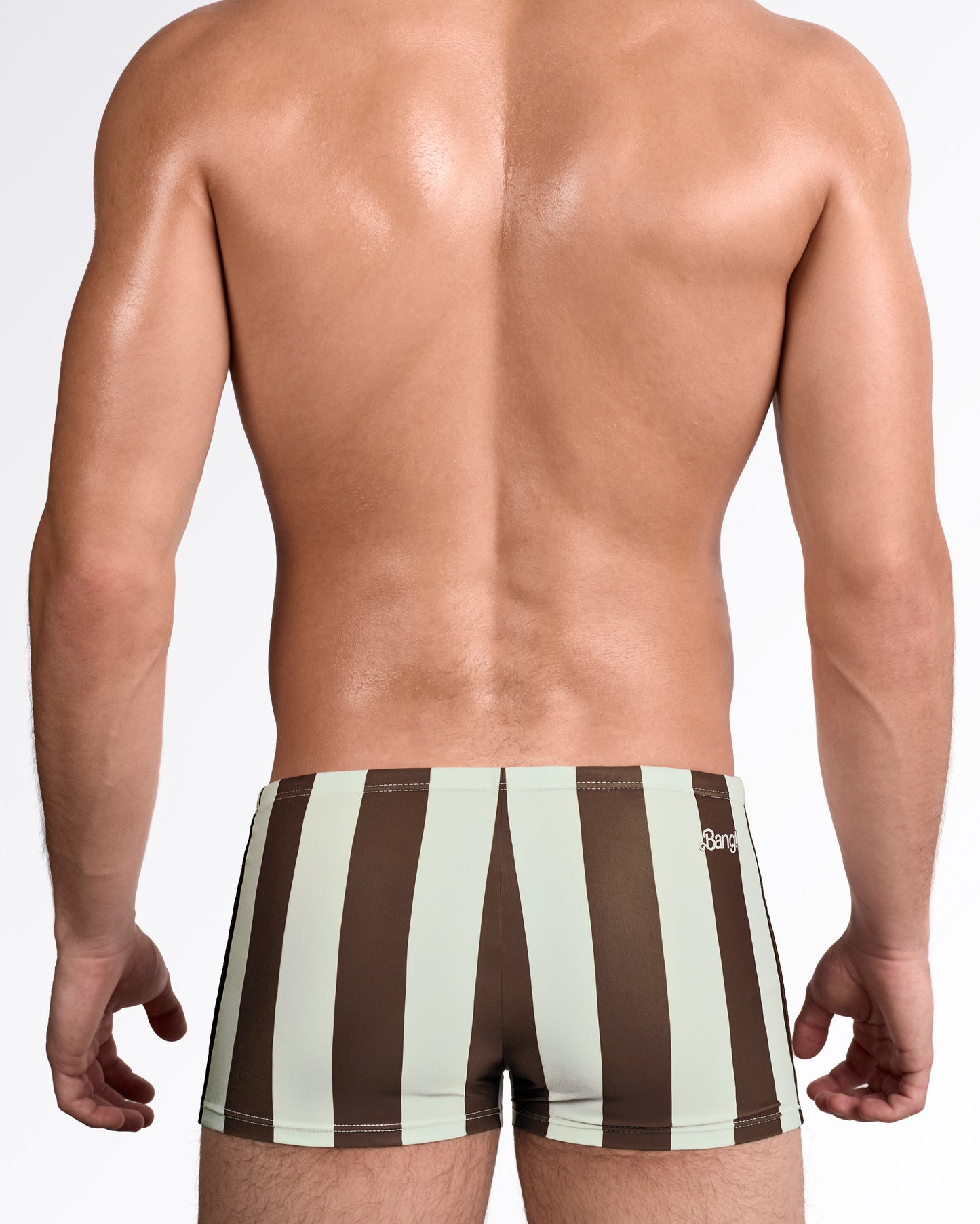 BANG The Ken Sahara Edition Swim Trunks — back view showing full vertical stripe pattern in warm desert-inspired brown and beige tones.