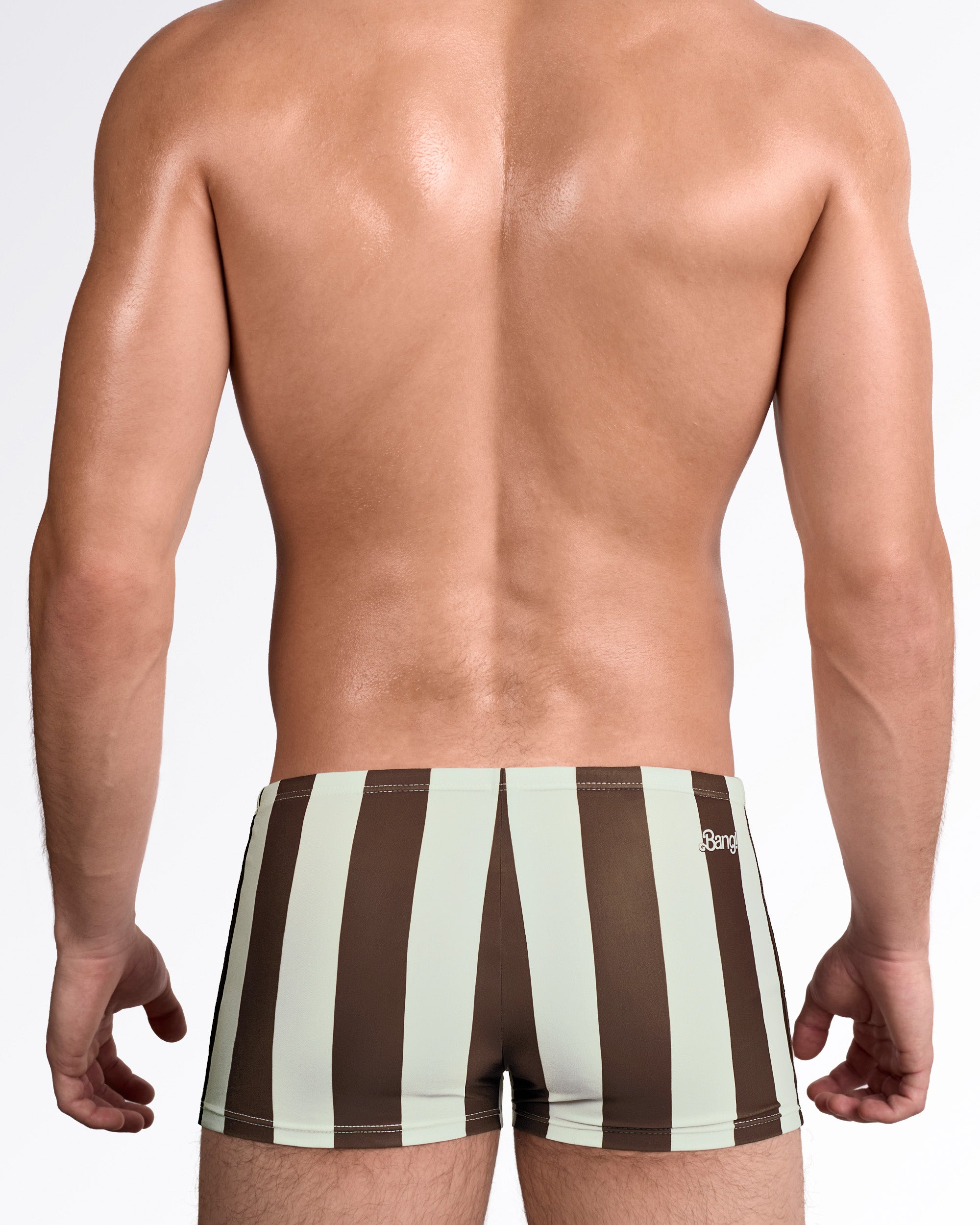 BANG The Ken Sahara Edition Swim Trunks — back view showing full vertical stripe pattern in warm desert-inspired brown and beige tones.