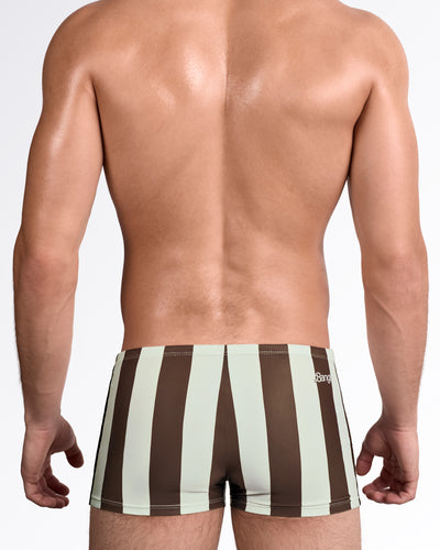 BANG The Ken Sahara Edition Swim Trunks — back view showing full vertical stripe pattern in warm desert-inspired brown and beige tones.