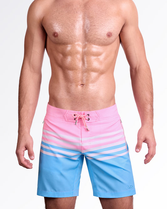 EQUINOXE PASTELS - Flex Boardshorts | DC2