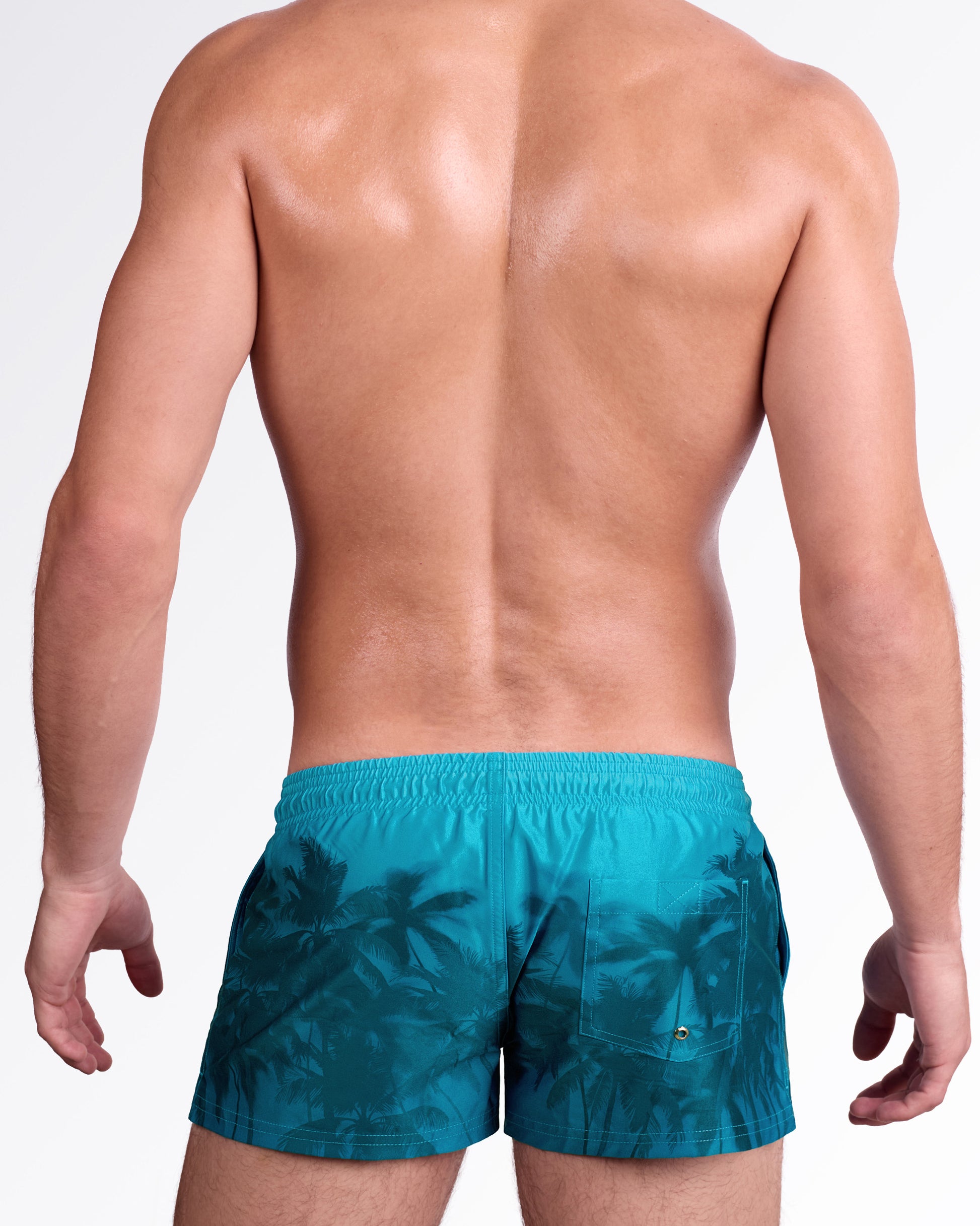 BANG Wuthering Heights (Shades) Show Shorts — back view highlighting the tonal tropical palm print, rear pocket detail, and clean fitted design for a modern resort-ready look.