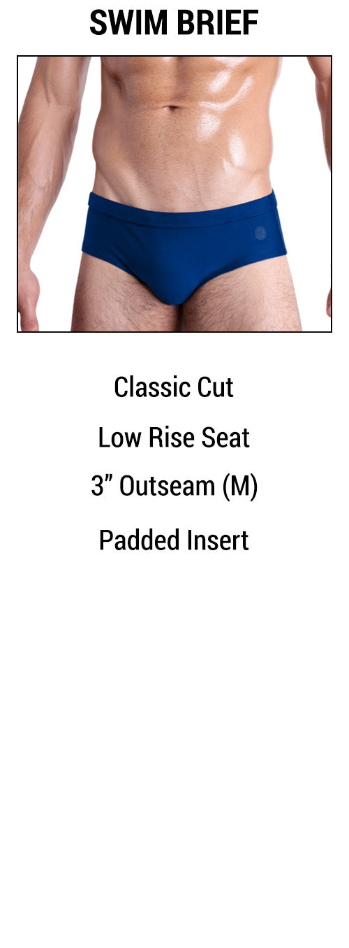 An infographic showing the BANG! Swim Brief features.