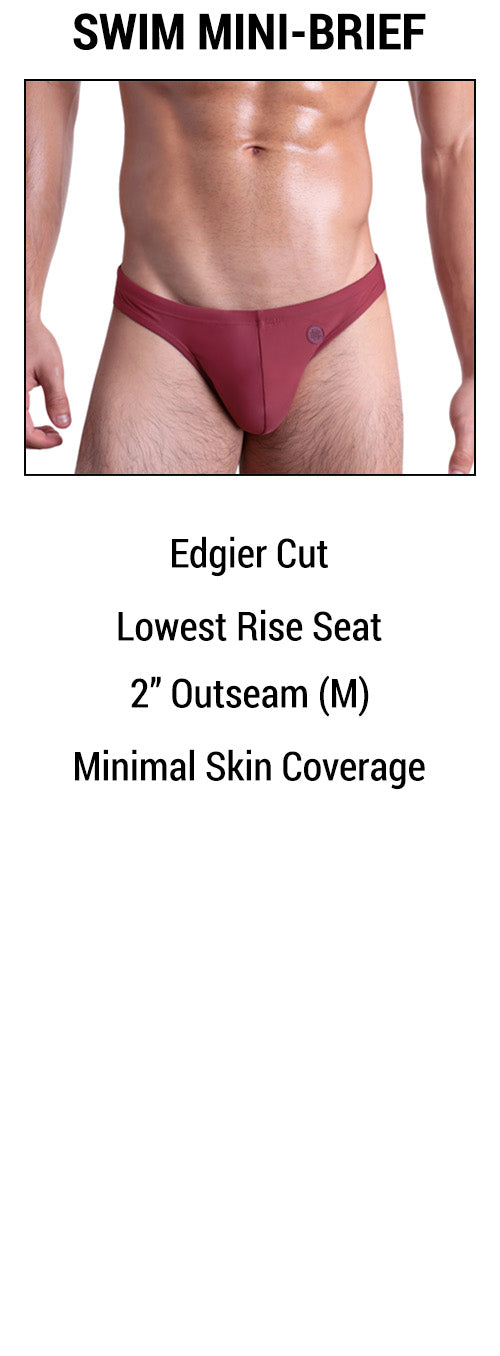 An infographic showing the BANG! Swim Mini-Brief features.