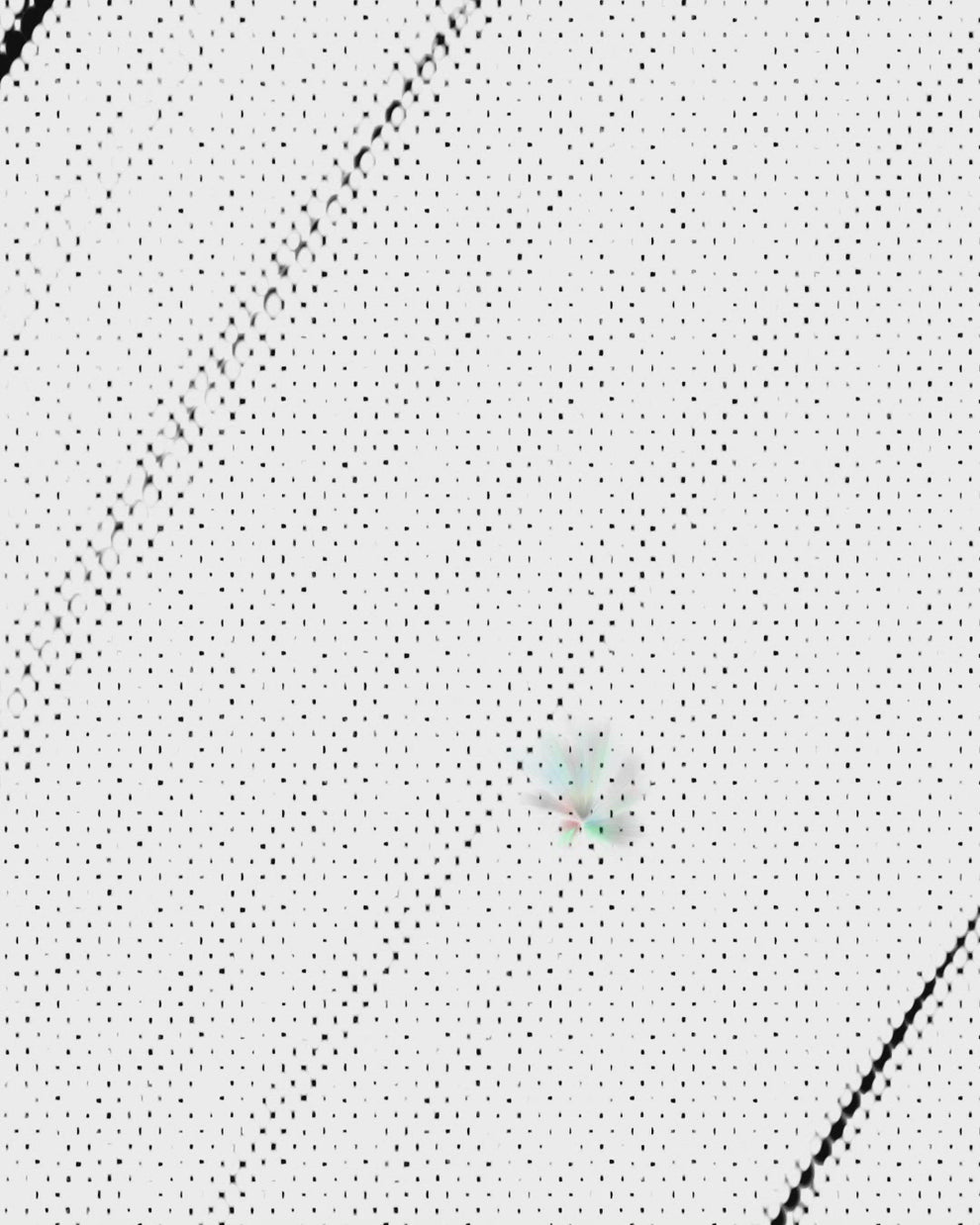 High quality video of BANG Miami Yeah Yeah series featuring sexy male models wearing all styles of premium mens swimwear